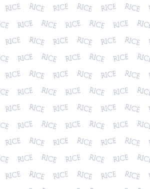 Rice University